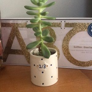 Meet your Posher, Denise